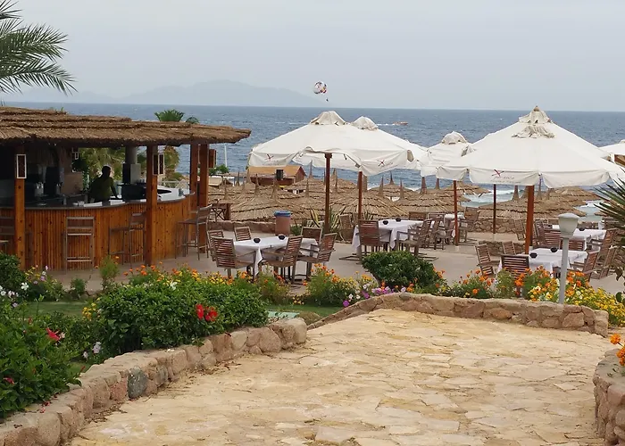 Üdülőközpont Xperience Hill-top - Adults Only Sarm es-Sejk