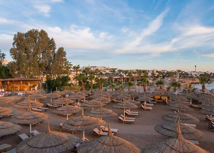 Xperience Hill-top - Adults Only 4* שארם א-שייח
